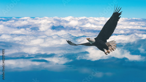 Soar like eagles, a Christian religious concept