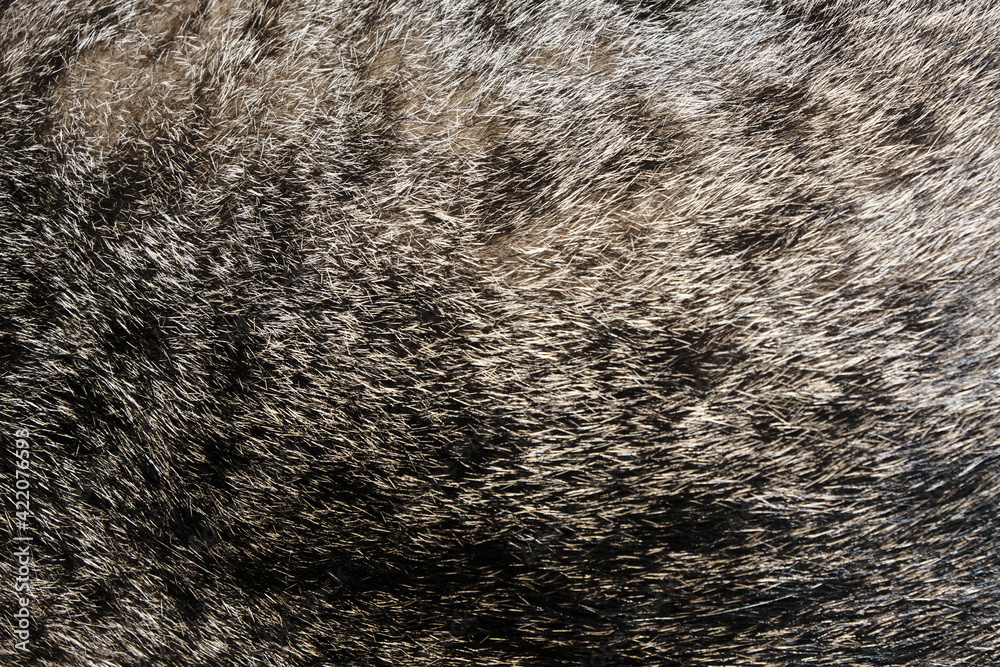 texture background texture background