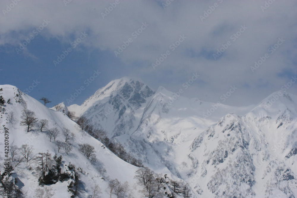 snow covered mountains