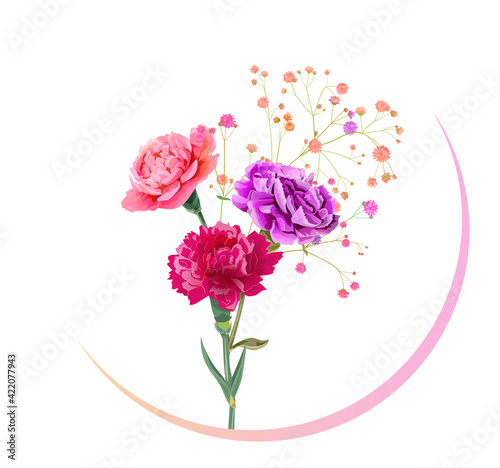 Round Mother's Day, Victory Day card with carnation: red, pink, flowers, twigs gypsophile, white background. Templates for design, vintage botanical illustration in watercolor style, vector