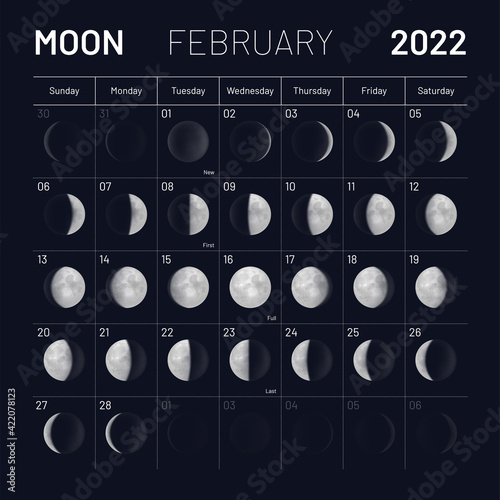 February moon phases calendar on dark night sky. Month cycle planner, astrology schedule template, lunar phases banner, poster, card design vector illustration with realistic moons