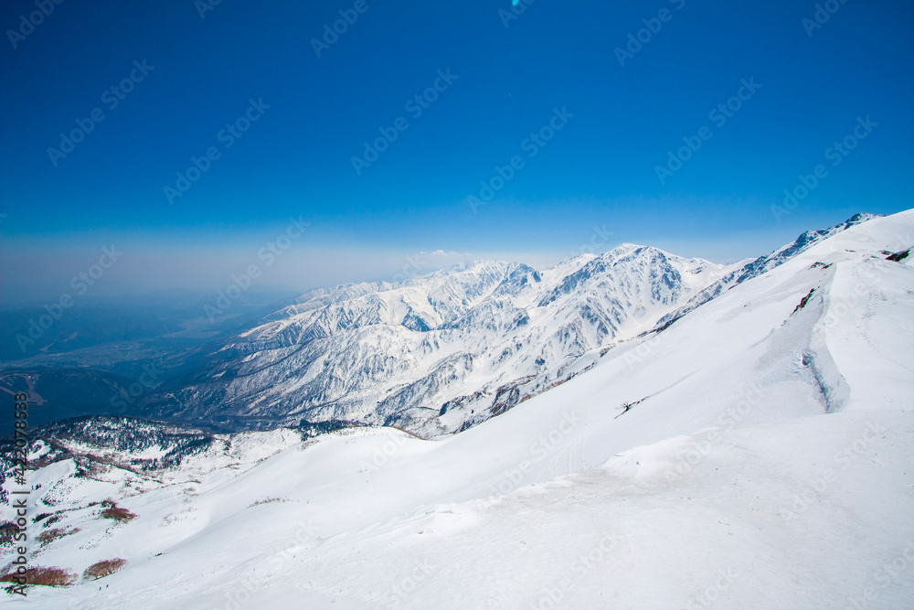 snow covered mountains