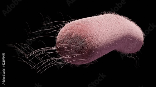 One E-Coli bacteria isolated on a black background. 3D render illustration