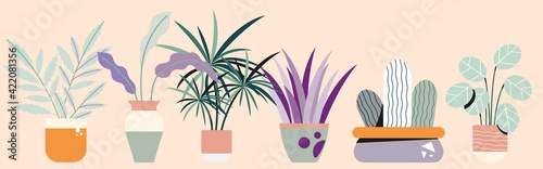 Urban jungle, trendy home decor with plants, planters, cacti, tropical leaves
