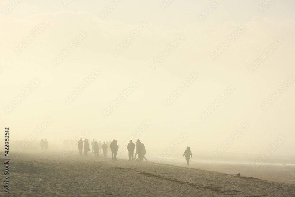 Fog near the sea Fog near the sea