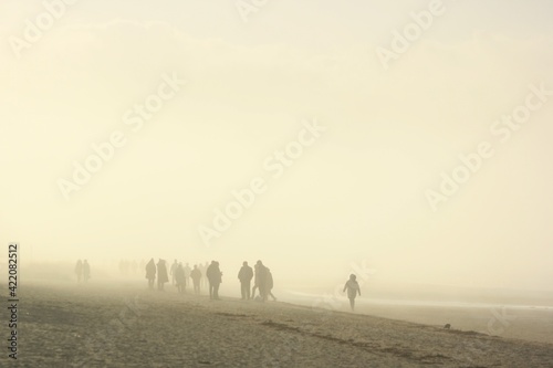 Fog near the sea © AnsisJnis