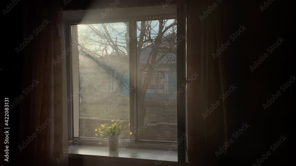 Dramatic view of house window from inside in sunny day.