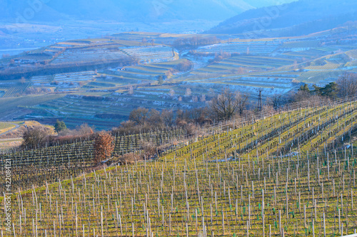 A view from above over vineyards in the Austrian Wachau valley in the early spring on a sunny day