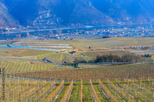 A view from above over vineyards, Danube river and a village in the Austrian Wachau valley in the early spring on a sunny day