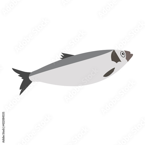 Fish sea herring. Hand-drawn vector, flat style. Animals of the ocean, nature, atlantic. Healthy, wholesome food, source of vitamin D. For recipes, menus, restaurants, cafes, textbooks, illustrations.