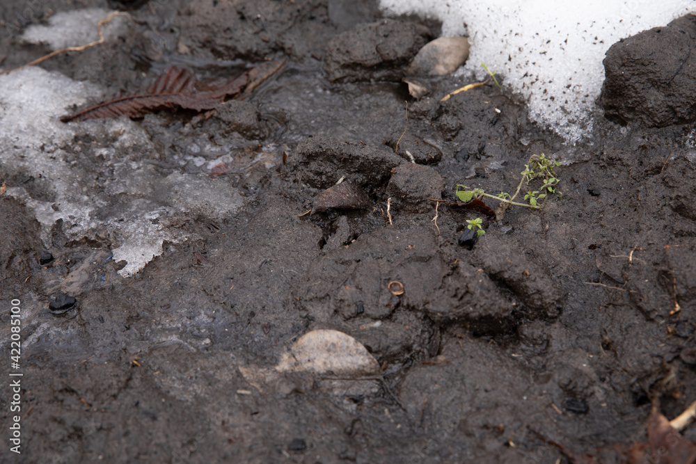 Dirty blurred road with mud and human footprints Dirty blurred road with mud and human footprints
