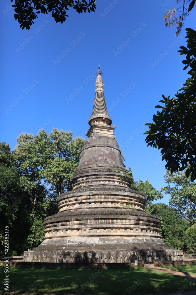 The Antique pandora of north Thailand