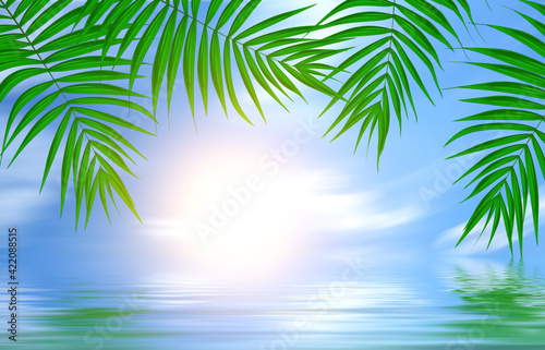 Summer empty tropical background with palms and water reflection. Summer sunny day. 3d illustration