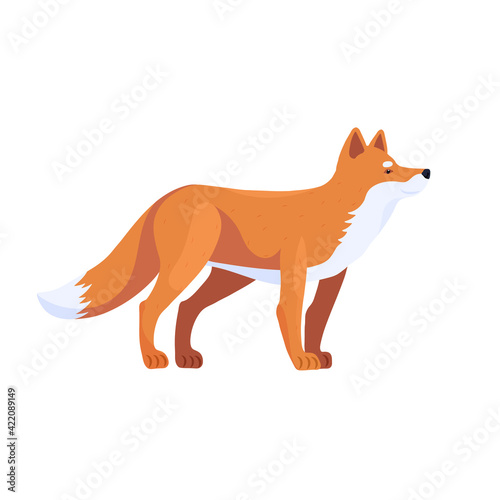 Fox. Predator. Vector illustration of animals in cartoon style.
