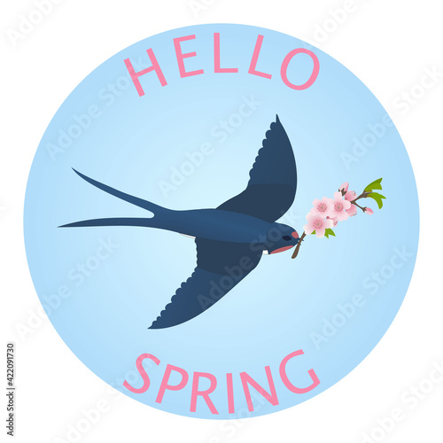 Spring background, greeting card with a swallow flying in the sky with a twig of blooming apple tree. Vector.