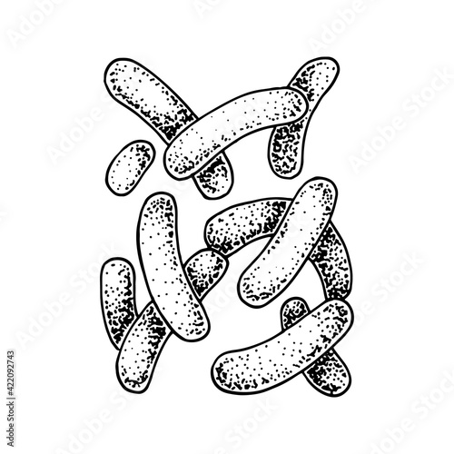 Hand drawn probiotic propionibacterium bacteria. Good microorganism for human health and digestion regulation. Vector illustration in sketch style
