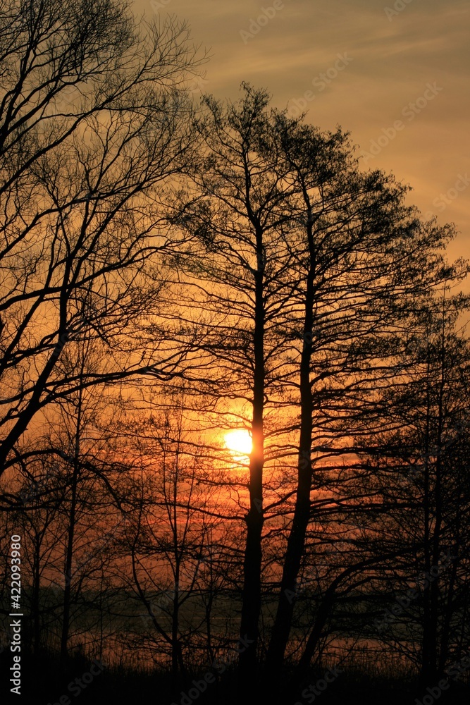 Fototapeta premium sunset