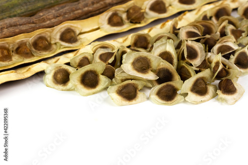 Pile of Moringa seed and moringa pods isolated on white background. The dried seeds in the pod are ready for propagate. Natural herbs can be extracted into oil for healthcare.