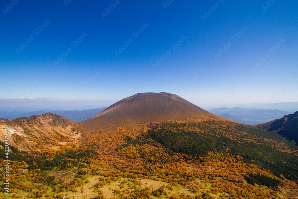 landscape in autumn