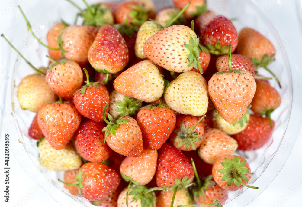 Strawberry fruit, Plenty of strawberries in a container isolate on white background Strawberry fruit, Plenty of strawberries in a container isolate on white background