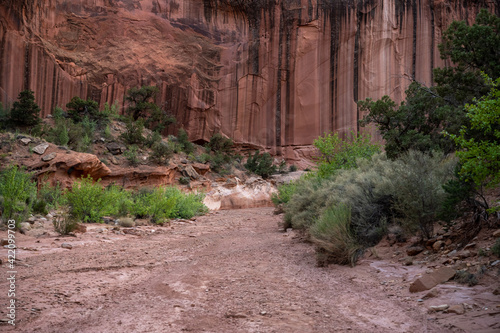 Grand Wash Trail Heads Straight Toward Sandstone Walls