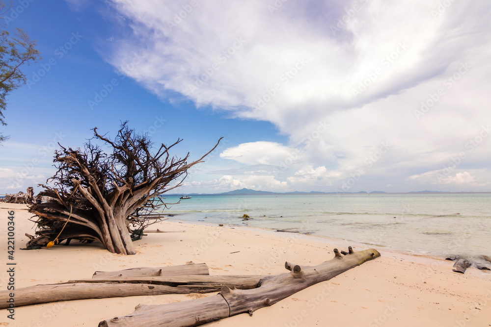 Beautiful white sand beach with blue sky and turquoise sea of Bamboo island or Koh Mai Pai. Phi Phi island national park in Krabi, Thailand. Beautiful white sand beach with blue sky and turquoise sea of Bamboo island or Koh Mai Pai. Phi Phi island national park in Krabi, Thailand.