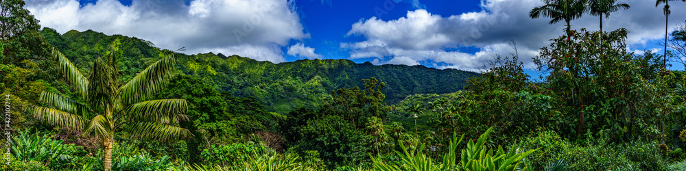 Manoa Valley Views