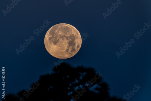 Full Moon Over the Village of Baytowne Wharf