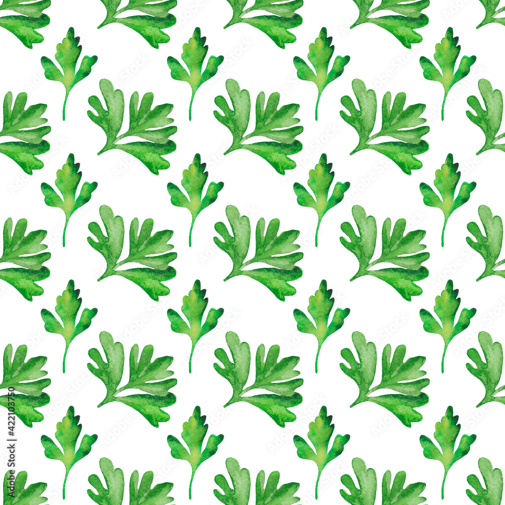 Green parsley and dill seamless pattern. Hand drawn grass watercolour. Food illustration on white background. Green parsley and dill seamless pattern. Hand drawn grass watercolour. Food illustration on white background.