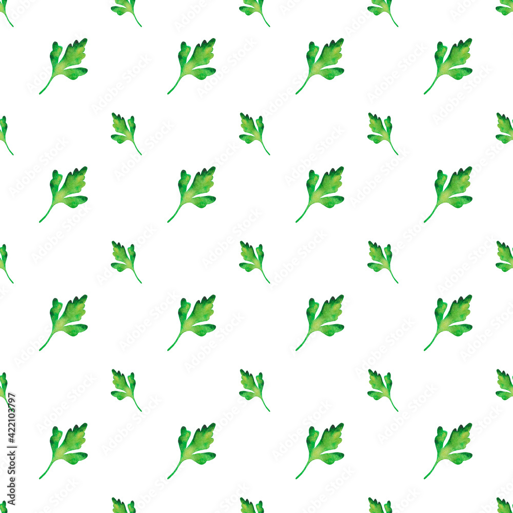 Green parsley and dill seamless pattern. Hand drawn grass watercolour. Food illustration on white background.