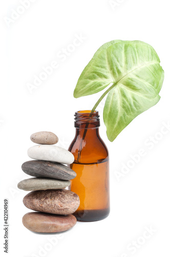 spa still life, natural cosmetics and massage concept front view on white background isolated closeup. Selective focus