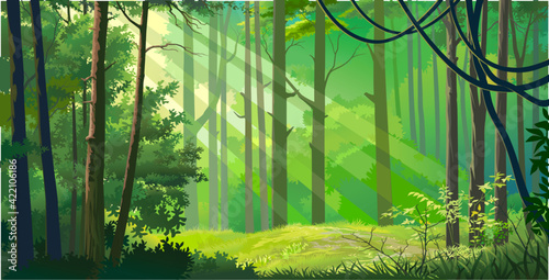 Rays of light penetrating through the jungle. Flora flouring amid big green trees.