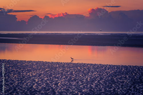 Seabrook Island North Beach Sunrise photo