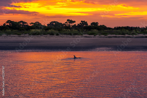 Seabrook Island North Beach Sunrise photo