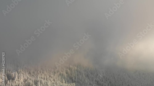 Aerial shot by drone of  snowy forest in winter, very thick fog and golden light. Auvergne, France