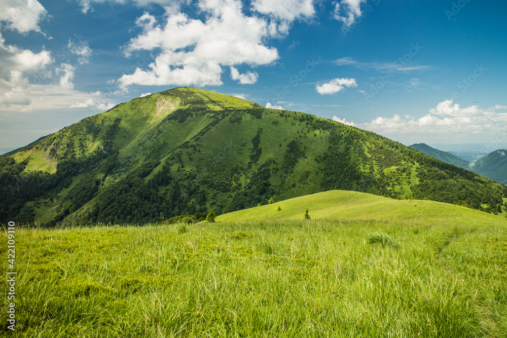 View of spring mountainous meadow with mountain, blue sky with clouds