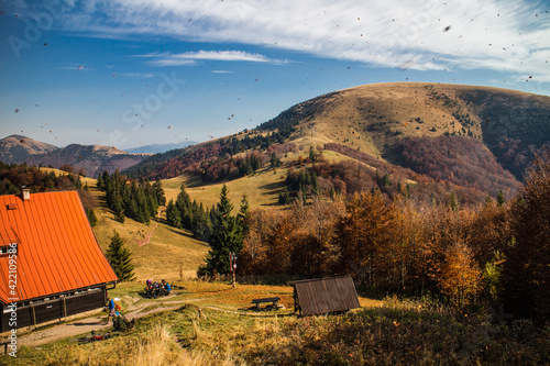 Mountain cottage in the autumn mountains with flying leafes in the sky