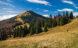 Hiker hiking nearby Borisov mountain in autumn in Slovakia