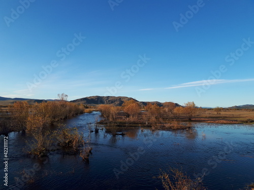 Fototapeta Naklejka Na Ścianę i Meble -  Autumn River Water with Yellow Bushes on Riverbanks under Blue Sky 