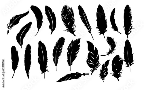 feathers, a set of sketches, different types of feathers . Black and white feathers, can be used for icons.
