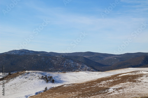 Winter snowcapped mountains covered with pine tree forest  yellow grass meadow with snow  clear blue sky Background 