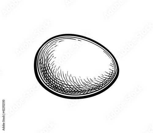 Ink sketch of egg.