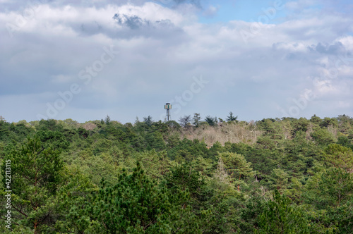 fire towerand Gorges de Franchard view in the Fontainebleau forest photo