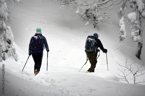 zima w Tatrach, Zakopane, atak zimy, opady śniegu, śnieżyca photo