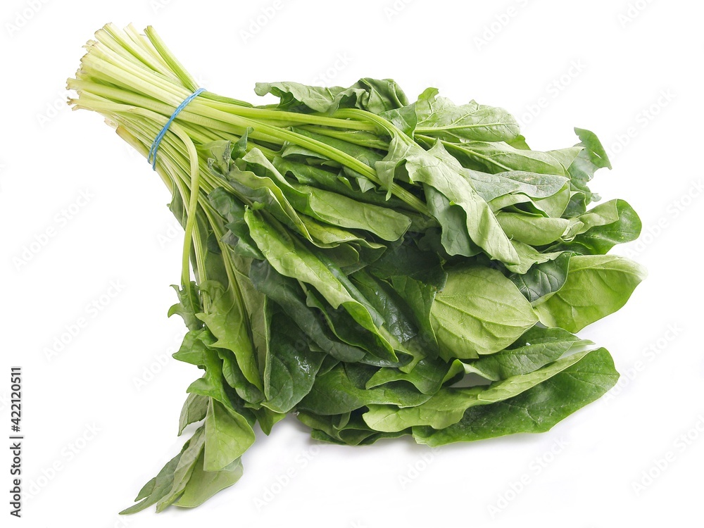 bunch of green leaves spinach vegetable bunch of green leaves spinach vegetable