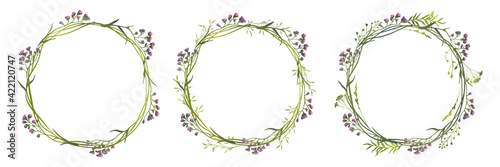 Set of lilac limonium wreaths with wild herbs. Vector illustration