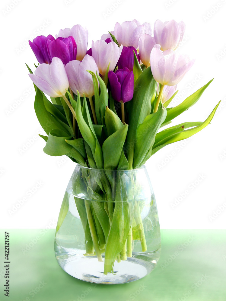 multicolor,beautiful tulips as spring flowers