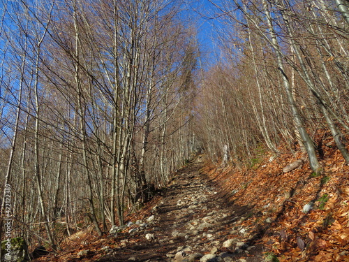 Wanderwege im Allgäu