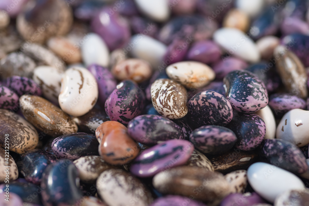 Shelled ripe seeds of kidney bean on heap. Pile of dry raw seeds of haricot (Phaseolus vulgaris) as natural background. Macro close-up. Organic farming, healthy food, BIO viands, back to nature. Shelled ripe seeds of kidney bean on heap. Pile of dry raw seeds of haricot (Phaseolus vulgaris) as natural background. Macro close-up. Organic farming, healthy food, BIO viands, back to nature.