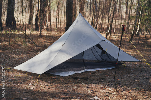 Gray ultralight tent pyramid in a pine forest. Spring in the forest.